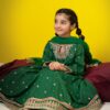 3 Piece Embroidered Suit Green