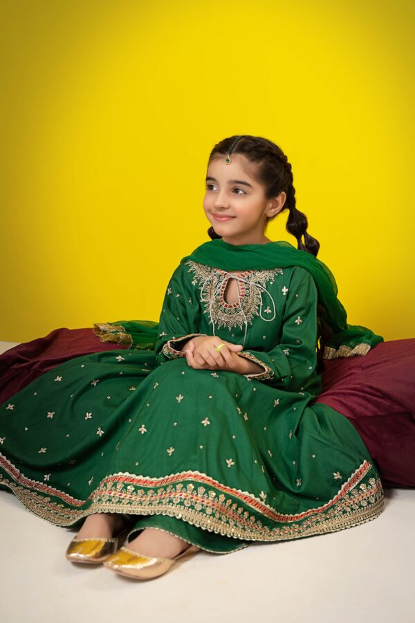 3 Piece Embroidered Suit Green