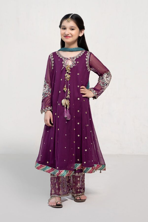 3 Piece Embroidered Suit Purple