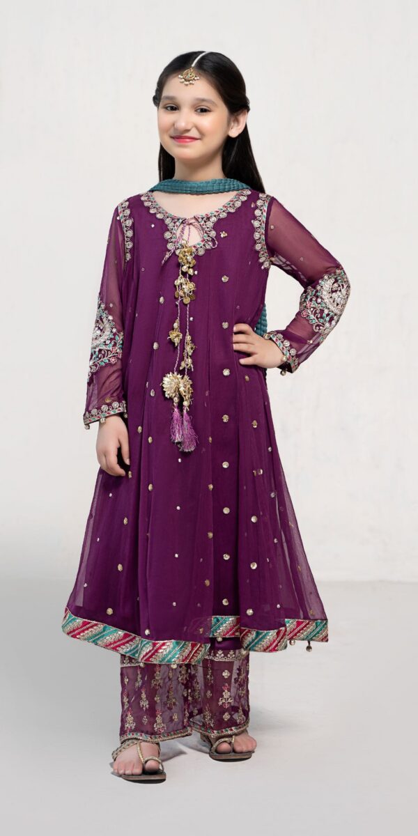 3 Piece Embroidered Suit Purple