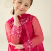 3 Piece Embroidered Organza Suit