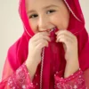 3 Piece Embroidered Organza Suit