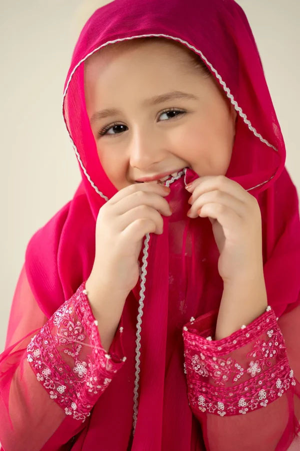 3 Piece Embroidered Organza Suit
