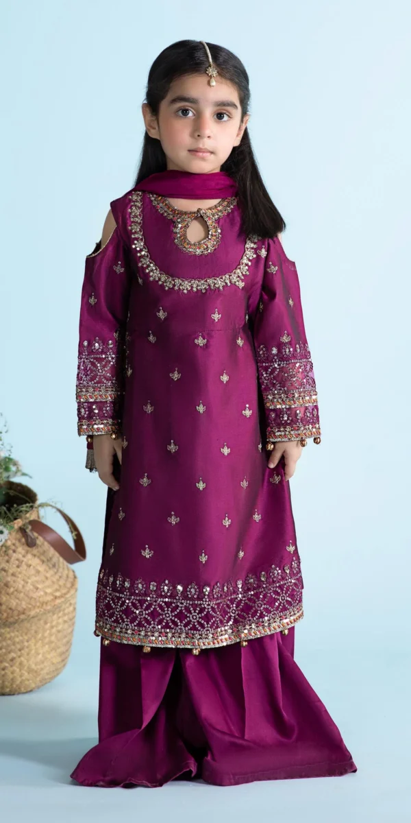 3 Piece Embroidered Cotton Silk Suit
