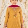 3 Piece Embroidered Raw Silk Suit