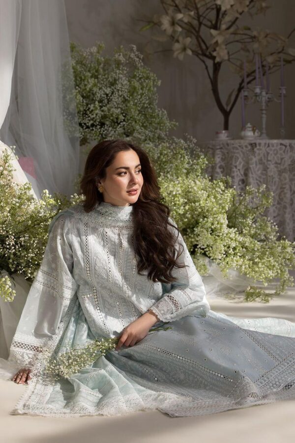 Premium 3 Piece Embroidered Lawn Suit - Unstitched
