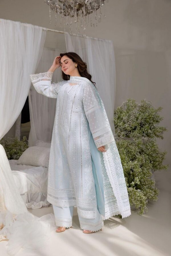 Premium 3 Piece Embroidered Lawn Suit - Unstitched