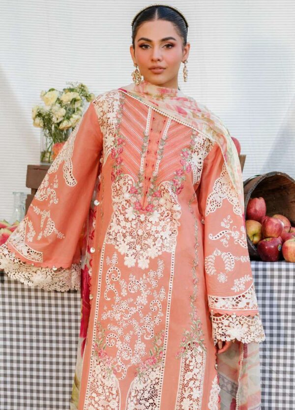 Premium 3 Piece Embroidered Lawn Suit - Unstitched