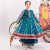 3 Piece Embroidered Net Suit
