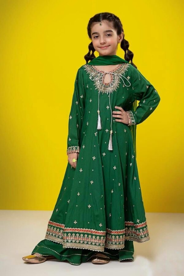 3 Piece Embroidered Suit Green