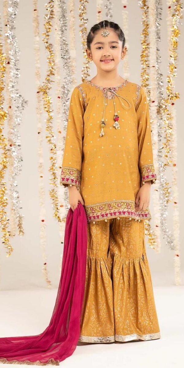 3 Piece Embroidered Raw Silk Suit