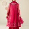 3 Piece Embroidered Organza Suit