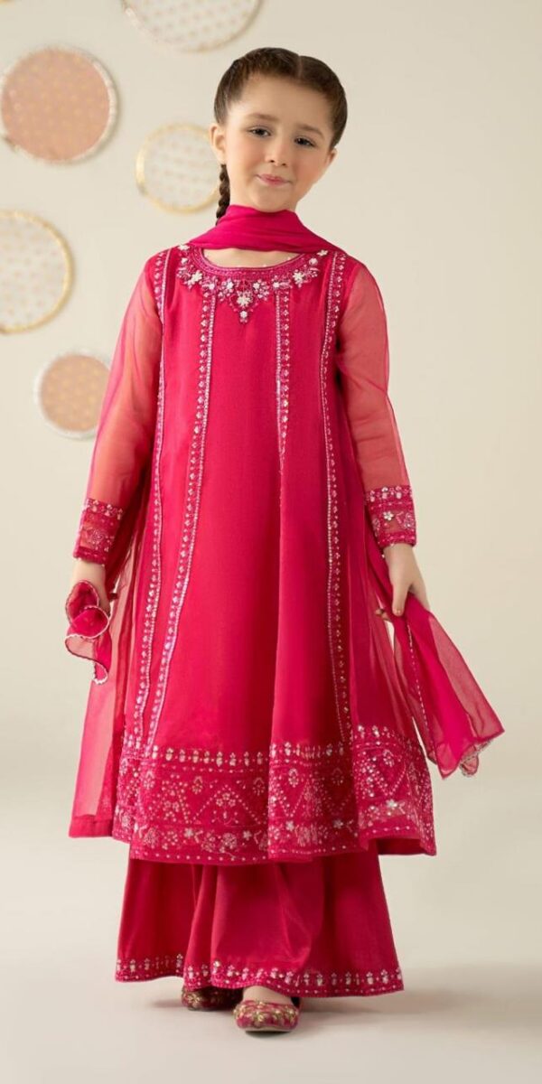 3 Piece Embroidered Organza Suit