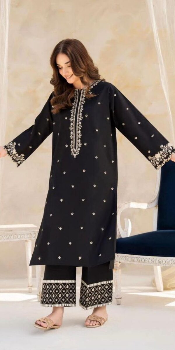 Juna Collection Premium 2 Piece Embroidered Dhanak Suit - Unstitched S01A027