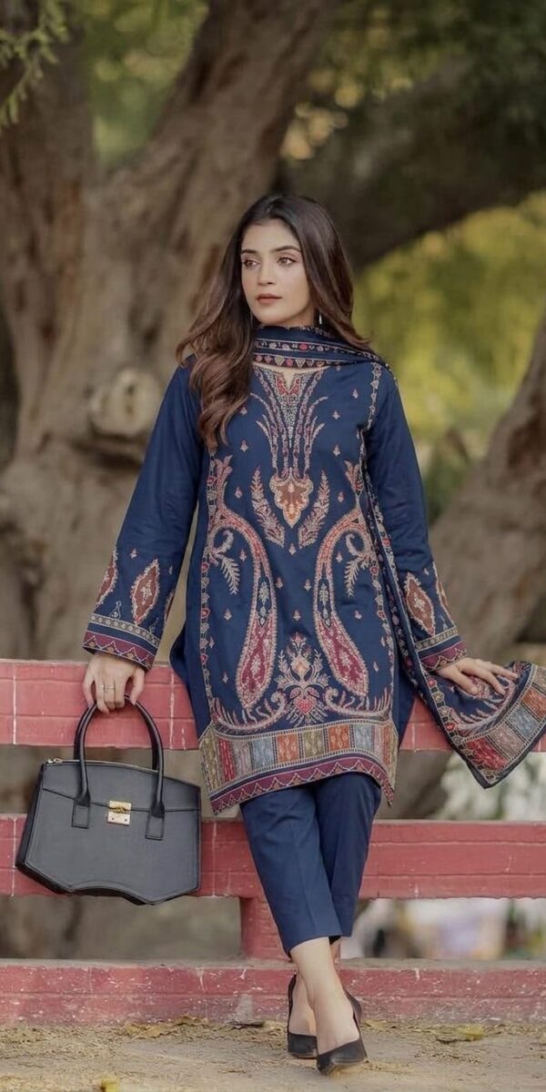 Juna Collection Premium 2 Piece Embroidered Dhanak Suit - Unstitched S02A013